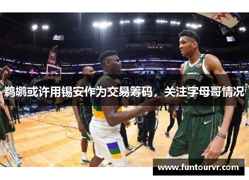 鹈鹕或许用锡安作为交易筹码,关注字母哥情况
